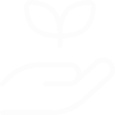 hand-holding-seeding garden care